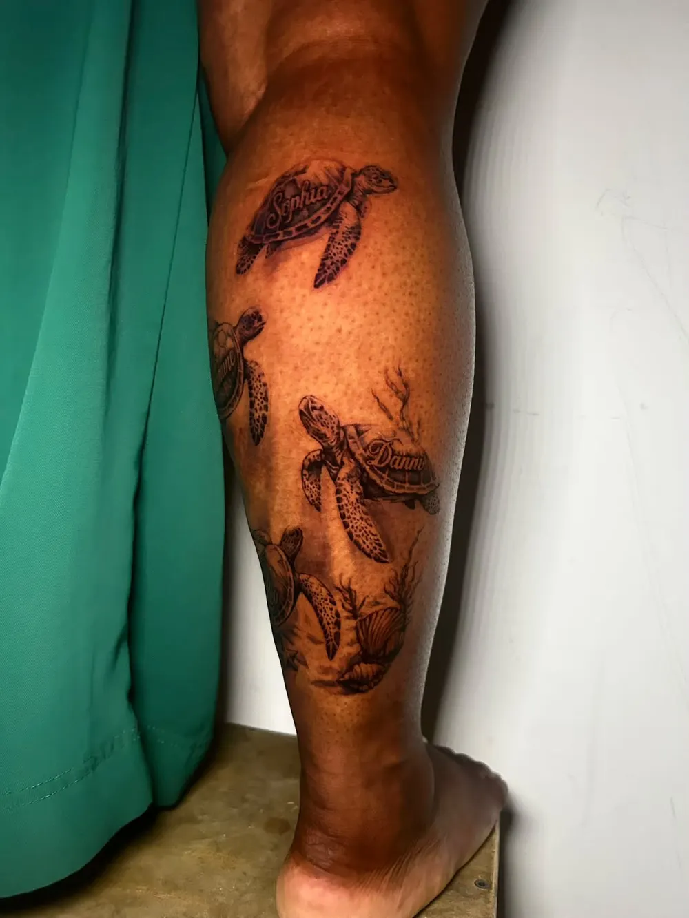 Sea turtles swimming up a calf with names lettered on their shells